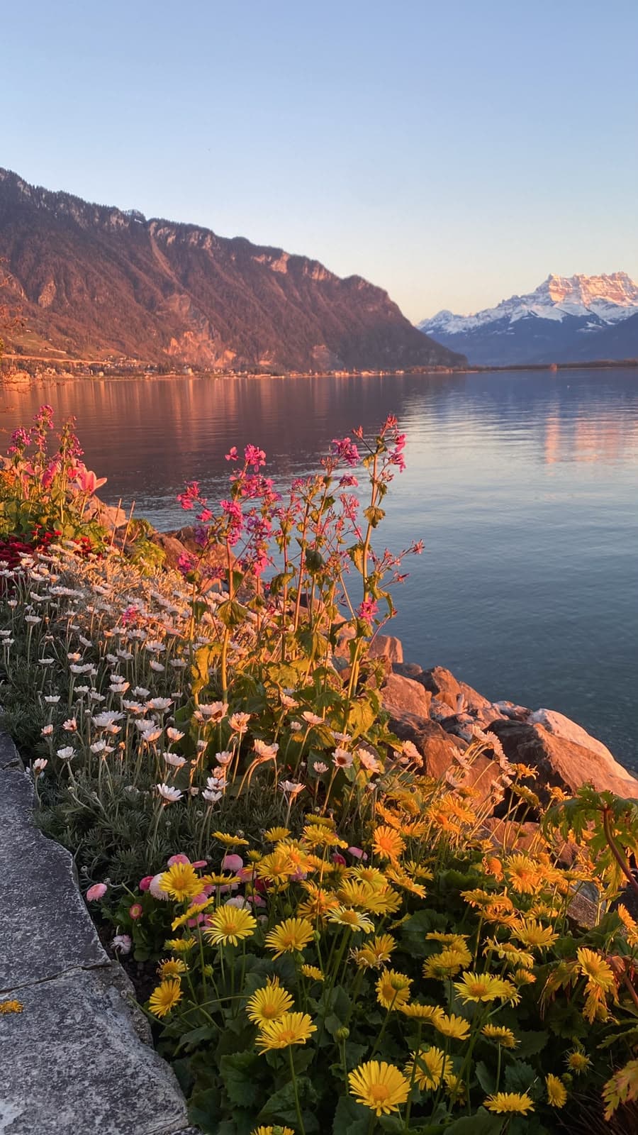 Swiss Public Transport Guide: Trains, Buses & Boats